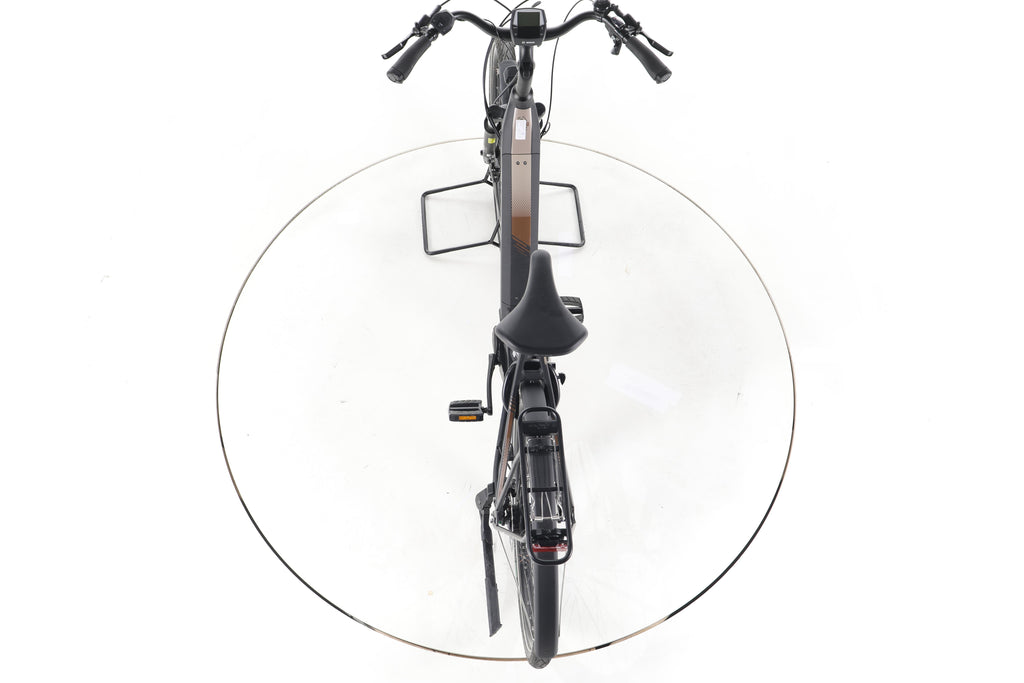 RIVERSIDE EC900 Trekking E-Bike Tiefeinsteiger - Image 22