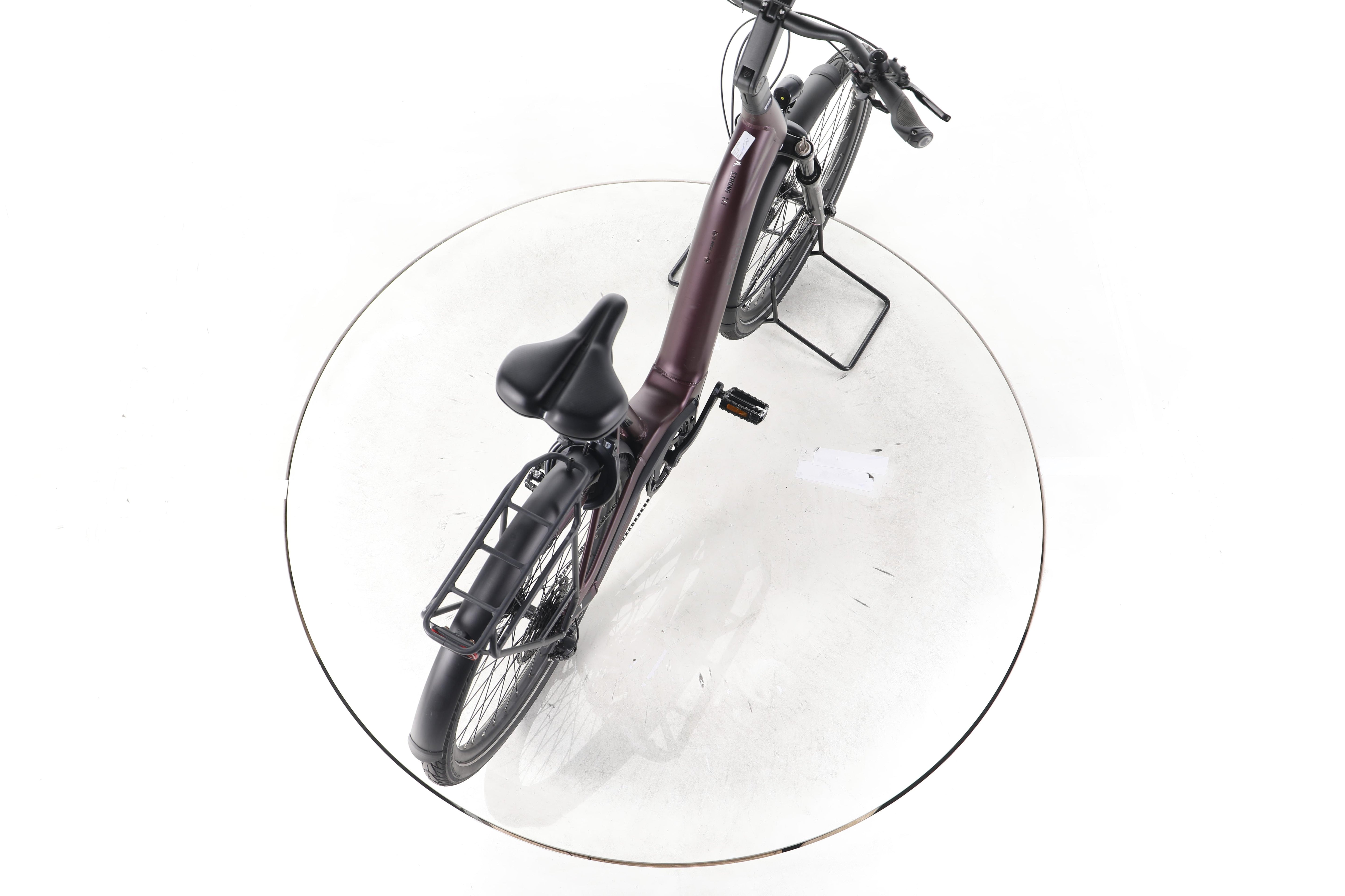 Pegasus Strong Evo 10 Lite Trekking E-Bike Tiefeinsteiger 2024 - Image 23
