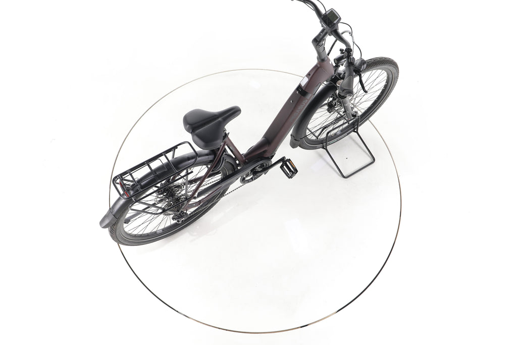 Pegasus Strong EVO 10 Lite Trekking E-Bike Tiefeinsteiger - Image 24